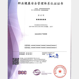 ISO45001职业健康安全管理体系